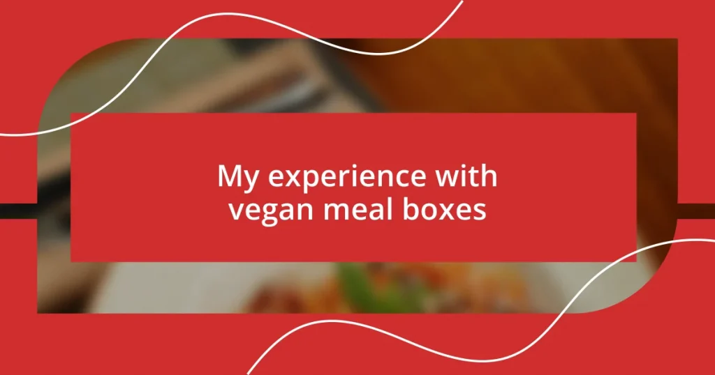 My experience with vegan meal boxes